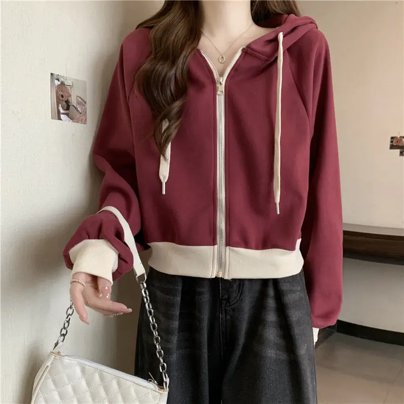 Femme Spring Autumn Korean Fas - Summer Clothing Drawing review and price